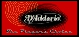 D'Addario web site
